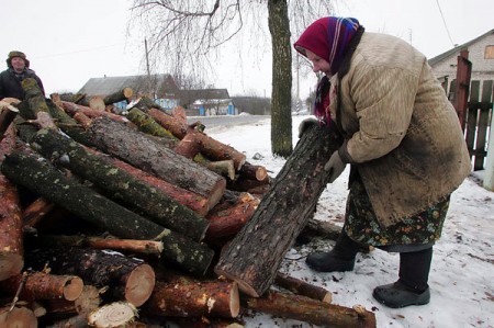 Витебский облисполком поднял цену на дрова. Фото photo.bymedia.net