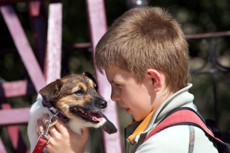 Выставка собак прошла в Витебске. Фото Сергея Серебро