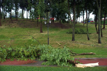 Тропический шторм принес разрушения в Витебск. Фото Сергея Серебро