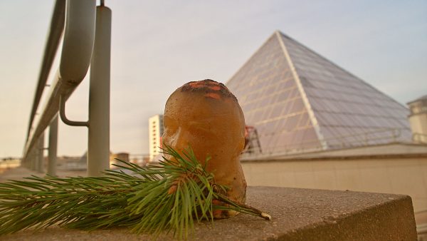 Пирамида, наверное. подошла бы для Ленина из холодца. Фото Сергея Серебро