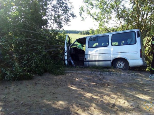 В Докшицком районе микроавтобус вылетел в кювет и врезался в дерево, в салоне зажало школьницу. Фото МЧС