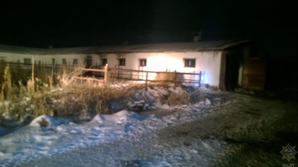 Здание фермы не пострадало. Фото МЧС